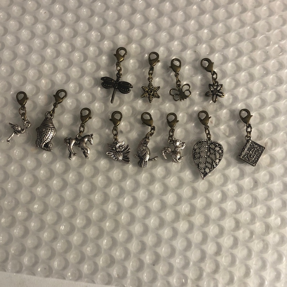 Assorted Silver Charms Collection - image 1